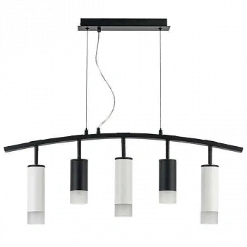 Lightstar LR7353728631 Люстра RULLO 5х50W GU10 ЧЕРНЫЙ/БЕЛЫЙ (571735+214437-2+214486-3+202431-5)