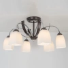 Потолочная люстра Citilux Крокус CL128161 CITILUX