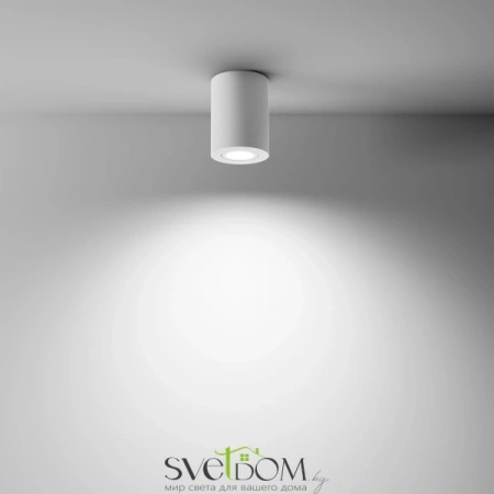 Фото Потолочные светильники Maytoni C016CL-01W Потолочные светильники Maytoni C016CL-01W от Магазина Svetdom.by