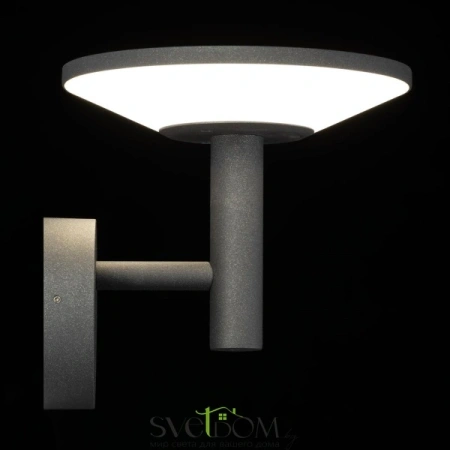 Citilux Dorn CLU05W LED Уличный настенный светильник Графит CITILUX