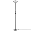 Торшер Citilux Click CL810021 CITILUX