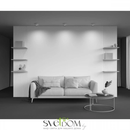 Потолочные светильники Maytoni C091CL-12W4K-W от Магазина Svetdom.by