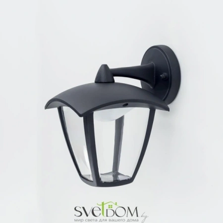 Citilux CLU04W2 LED Уличный настенный светильник Чёрный CITILUX