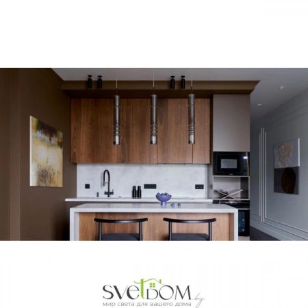 Потолочные светильники Maytoni C018CL-01B от Магазина Svetdom.by