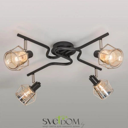 Люстры потолочныеCL542541 CITILUX | Svetdom.by