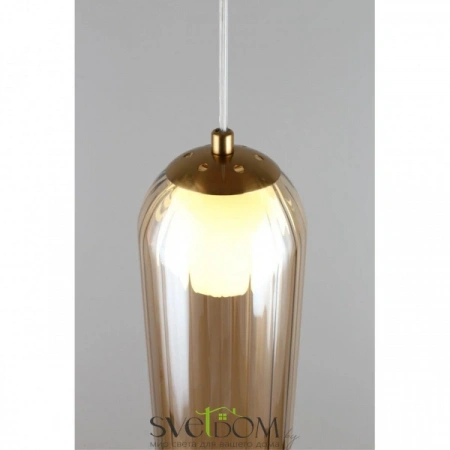 Подвесные светильники Aployt APL.325.26.01 от Магазина Svetdom.by