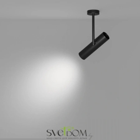 Фото Потолочные светильники Maytoni C020CL-01B Потолочные светильники Maytoni C020CL-01B от Магазина Svetdom.by