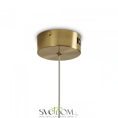 Подвесные светильники Freya FR6139PL-L8BS от Магазина Svetdom.by