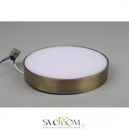 Настенно-потолочные светильники Aployt APL.0113.29.24 от Магазина Svetdom.by