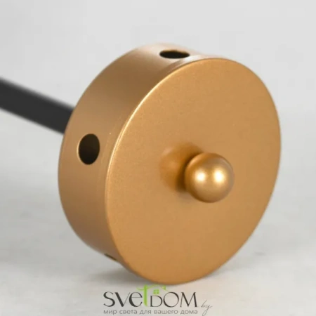 Люстра потолочная Lussole Durham LSP-8796 E27 Lussole