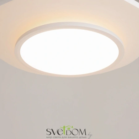 Потолочные светильники Maytoni MOD426CL-L43WK1 от Магазина Svetdom.by