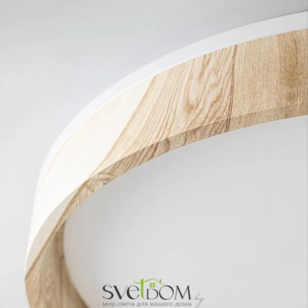 Потолочные светильники CITILUX CL753452G от Магазина Svetdom.by