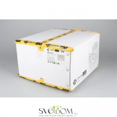 Люстры потолочныеOML-64307-07 Omnilux | Svetdom.by