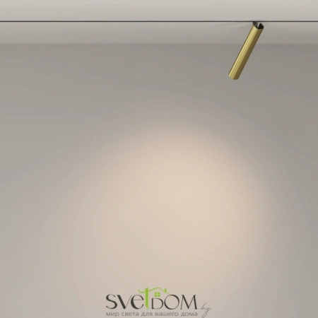 TR141-2-6W3K-M-BS Maytoni