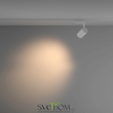 TR003-1-10W3K-M-W Maytoni