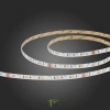 ST019.418.20RGBW Светодиодная лента SMD5050  - -*86W RGB+4000K 300Lm Ra>90 IP20 L1 000xW10xH- 24V Светодиодные ленты ST LUCE