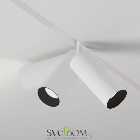 TR032-4-20WTW-M-DSZ-W Maytoni