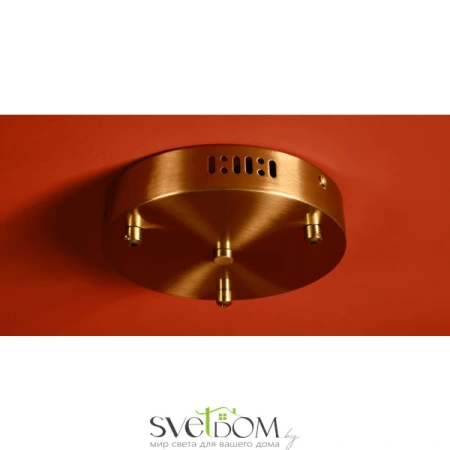 FR5631A-03BS 