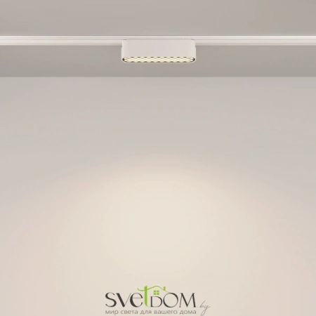 TR084-1-6W4K-W Maytoni