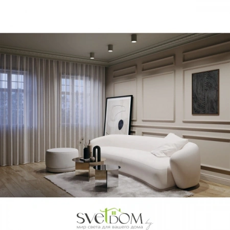 Потолочные светильники Maytoni C001CW-01W от Магазина Svetdom.by