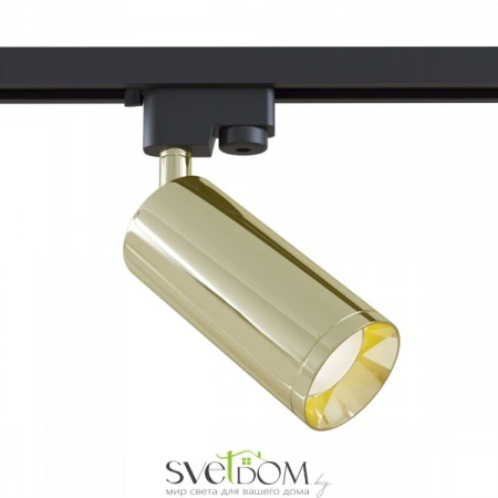 TR004-1-GU10-G Maytoni