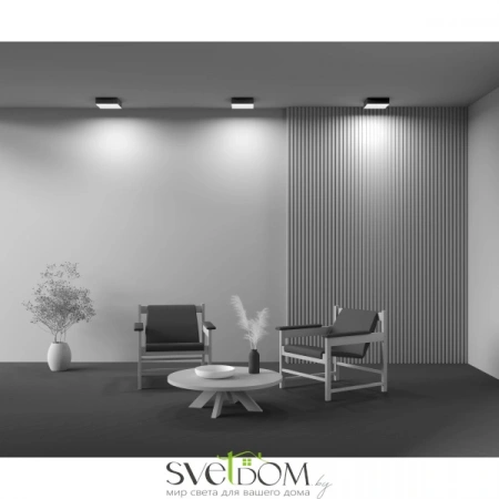 Потолочные светильники Maytoni C032CL-24W4K-SQ-B от Магазина Svetdom.by