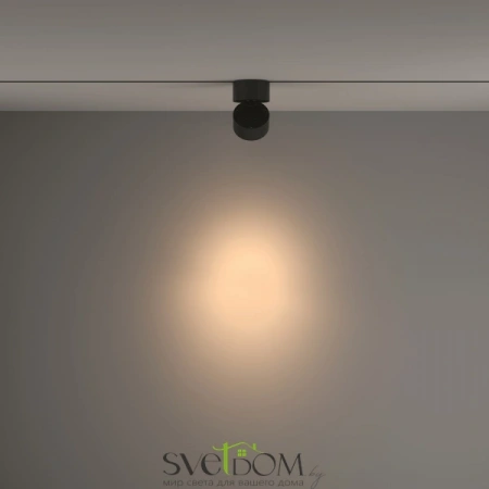 TR084-1-15W3K-B Maytoni