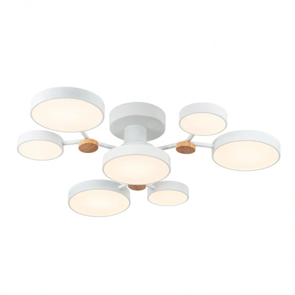 Потолочные светильники LED4U L3201-700 WT от Магазина Svetdom.by