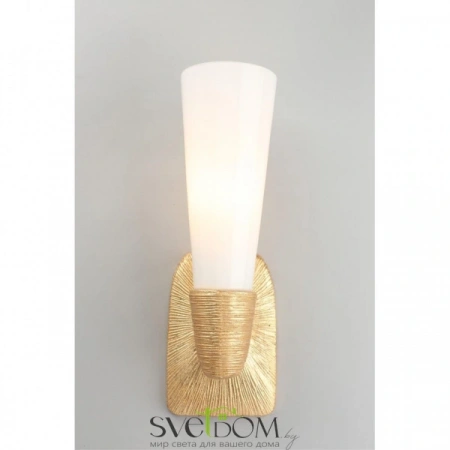 Настенные светильники APL.800.01.01 Aployt | Svetdom.by