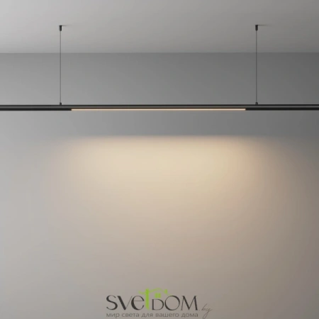 Светильники Maytoni C147CL-L900-24W3K-B от Магазина Svetdom.by