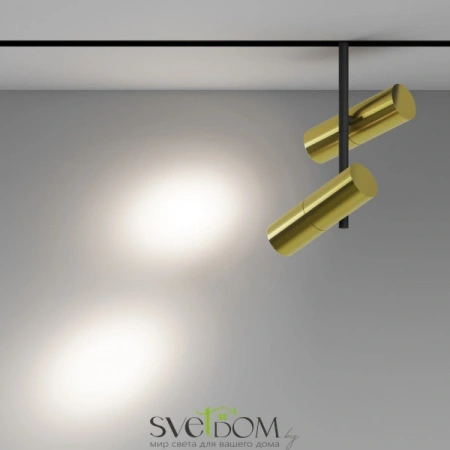 TR005-2-2X12W4K-BBS Maytoni