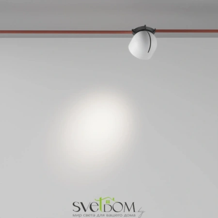 TR124B-12W4K-M-W Maytoni