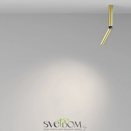 Потолочные светильники Maytoni C142CL-6W4K-BS от Магазина Svetdom.by