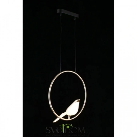 Фото Подвесные светильники Aployt APL.822.06.10 Подвесные светильники Aployt APL.822.06.10 от Магазина Svetdom.by