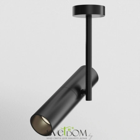 Фото Потолочные светильники Maytoni C020CL-01B Потолочные светильники Maytoni C020CL-01B от Магазина Svetdom.by