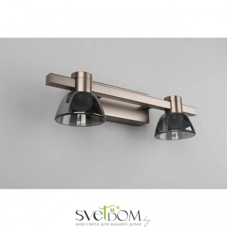 Настенные светильники APL.788.01.02 Aployt | Svetdom.by