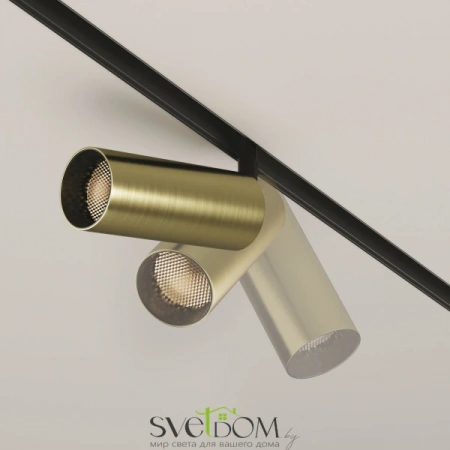 TR032-2-12W3K-M-BBS Maytoni