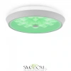 Фото Светильники Freya FR10012CL-L24W Светильники Freya FR10012CL-L24W от Магазина Svetdom.by