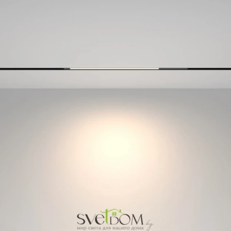 TR231-2-10W4K-B Maytoni