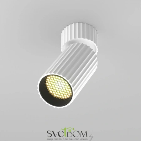 Потолочные светильники Maytoni C108CL-01-GU10-W от Магазина Svetdom.by