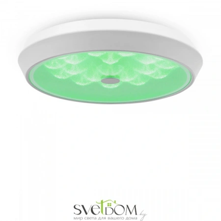 Фото Светильники Freya FR10012CL-L24W Светильники Freya FR10012CL-L24W от Магазина Svetdom.by