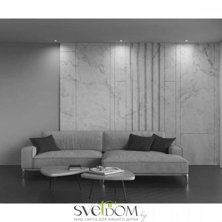 Фото Встраиваемые светильники Maytoni DL023-2-01S Встраиваемые светильники Maytoni DL023-2-01S от Магазина Svetdom.by