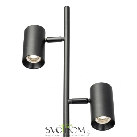 Citilux Twin CL809011N Торшер светодиодный Чёрный CITILUX