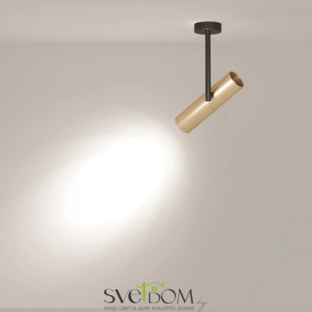 Потолочные светильники Maytoni C020CL-01GB от Магазина Svetdom.by