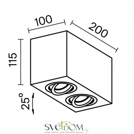 Потолочные светильники Maytoni C017CL-02W от Магазина Svetdom.by