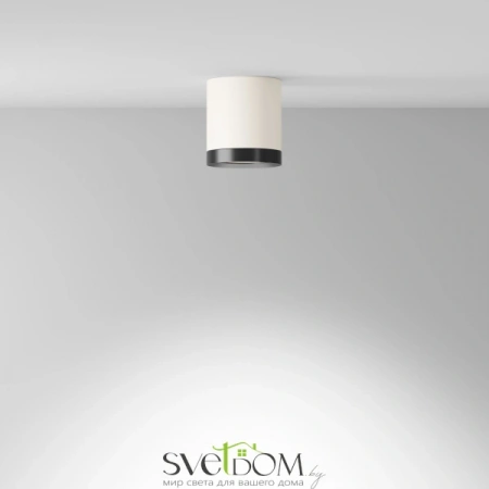 Потолочные светильники Maytoni C086CM-GX53-MRD-WB от Магазина Svetdom.by