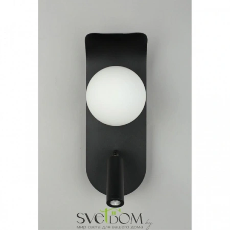 Настенные светильники APL.345.01.02 Aployt | Svetdom.by