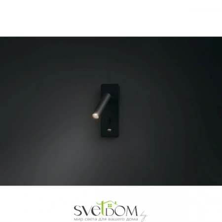 Фото Maytoni C041WL-L3B3K Настенные светильники C041WL-L3B3K Maytoni | Svetdom.by