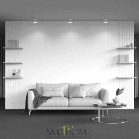 Потолочные светильники Maytoni C015CL-01W от Магазина Svetdom.by