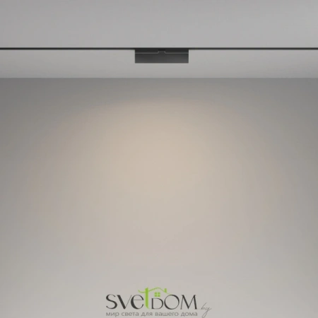 TR036-2-12W4K-B Maytoni